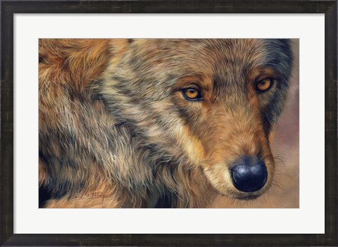 Framed Wolf Portrait Print