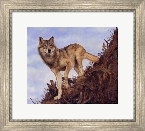 Framed Wolf Tree Root Print