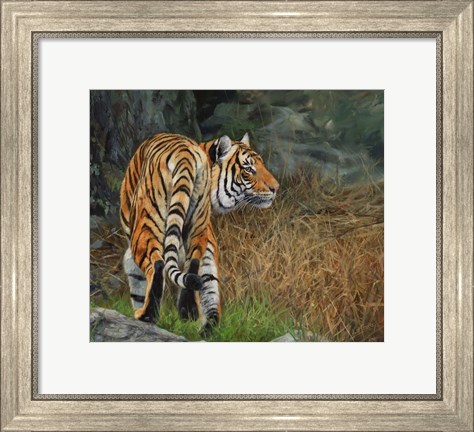 Framed Indo Chinese Tiger Print