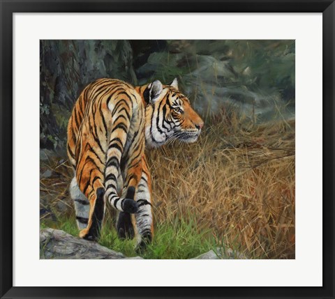Framed Indo Chinese Tiger Print