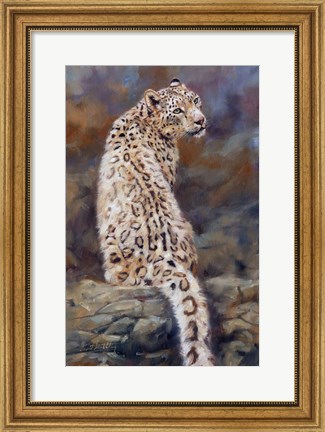 Framed Snow Leopard 2 Print