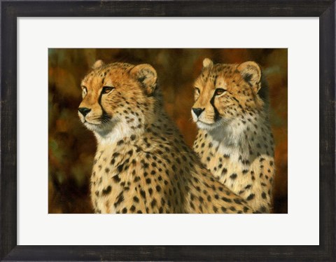 Framed Cheetah Bros Print