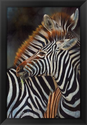 Framed Zebras Print