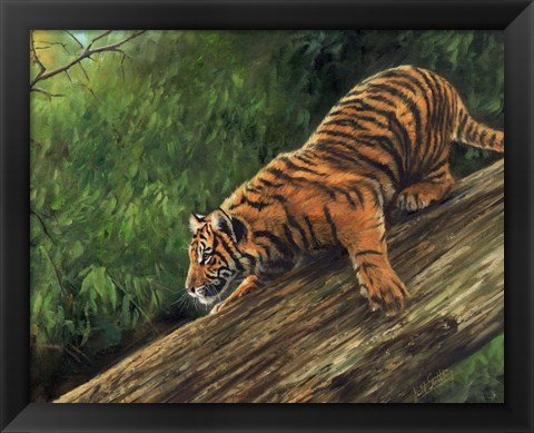 Framed Tiger In Tree Print
