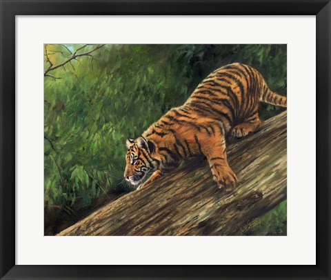 Framed Tiger In Tree Print
