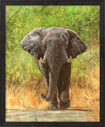 Framed Elephant Charge Print