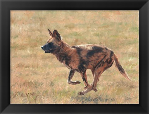 Framed African Wild Dog Running Print