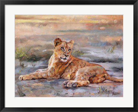 Framed Lion Cub Resting Print