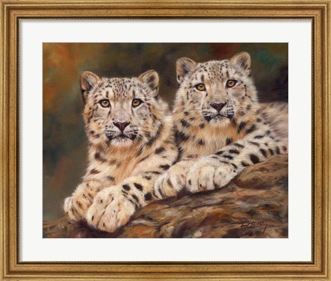 Framed Snow Leopards Print