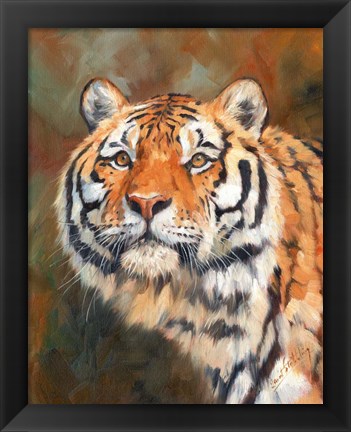 Framed Tiger 1111 Print