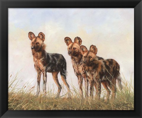 Framed 3 African Wild Dogs Print