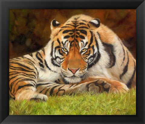 Framed Tiger Stare Print