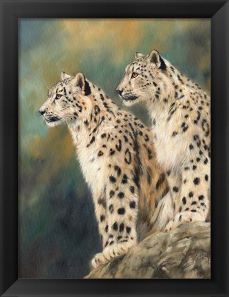 Framed Snow Leopard&#39;s Rock Print