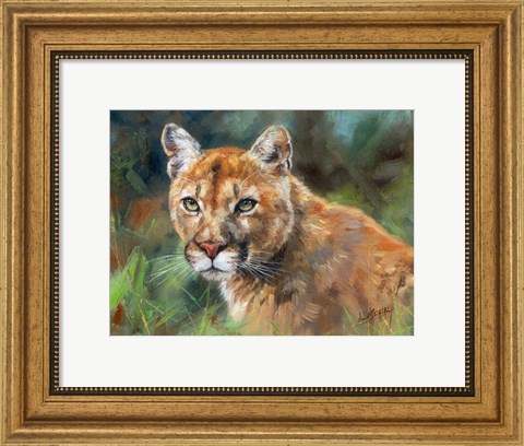 Framed California Cougar Print