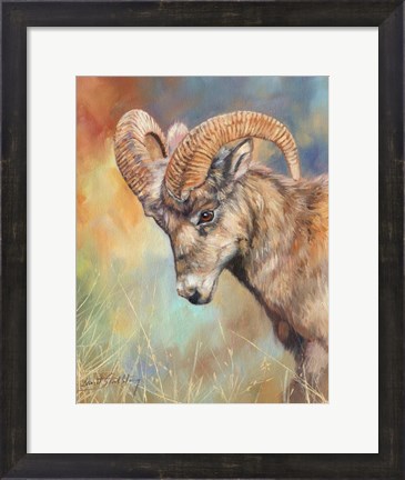 Framed Mountain Goat Print