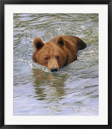 Framed Bear Water Print