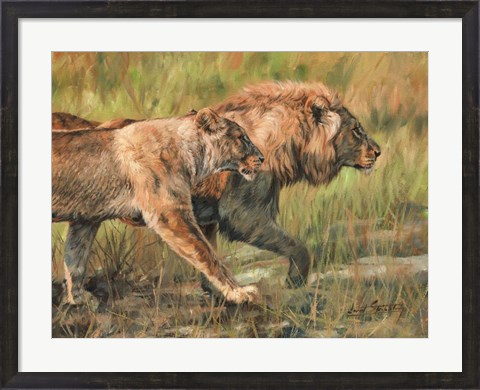 Framed Lion And Lioness Print