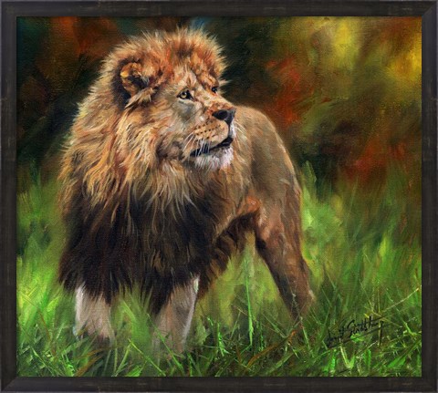 Framed Lion Full Length Print