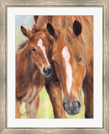 Framed Horse And Foal Print