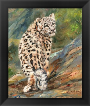Framed Snow Leopard Cub Print