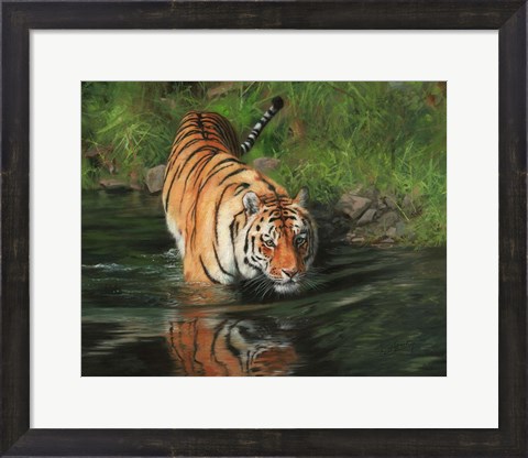 Framed Tiger Entering Water Print