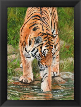 Framed Tiger Stream Print