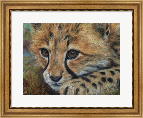 Framed Cheetah Cub Close Print