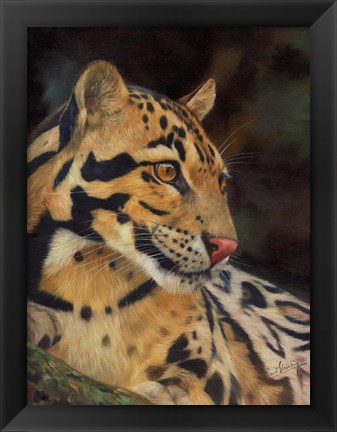Framed Clouded Leopard Portrait Print