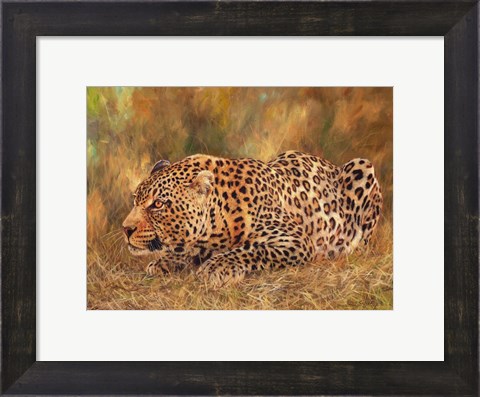Framed Leopard About To Pounce Print