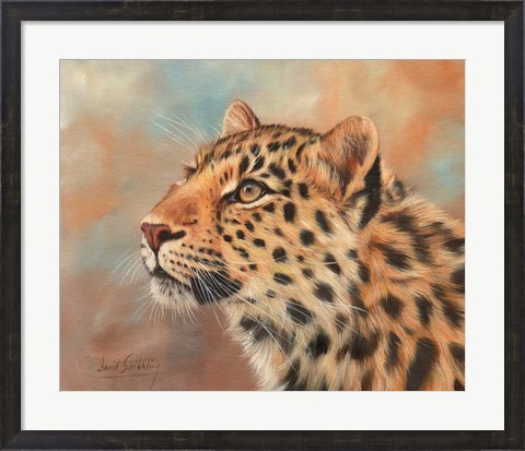 Framed Leopard Study 3 Print
