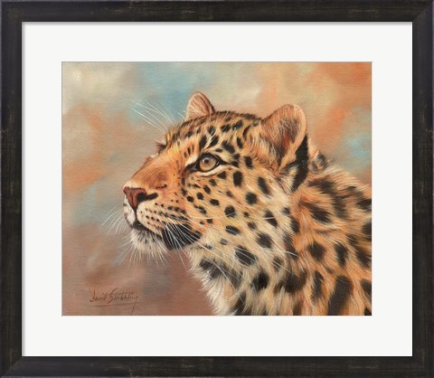 Framed Leopard Study 3 Print
