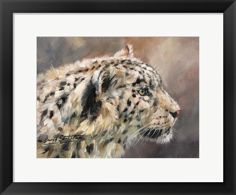 Framed Snow Leopard 86 Print