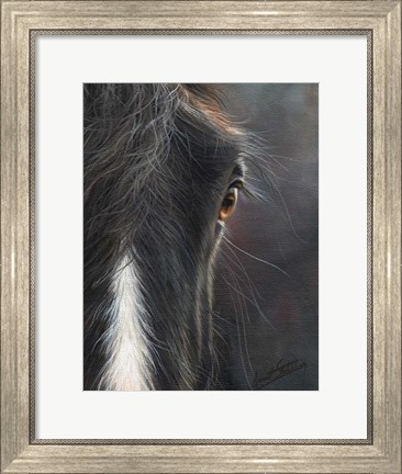 Framed Horse Portrait Print