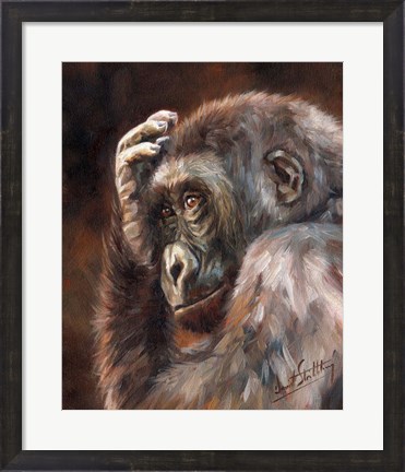 Framed Gorilla Contemplating Print