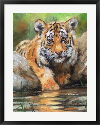 Framed Tiger Cub Water Print