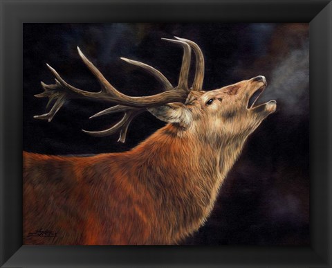 Framed Red Deer Stag Winter Breath Print