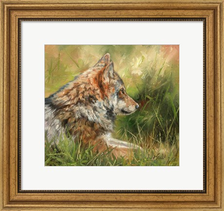 Framed Grey Wolf In Grass Print