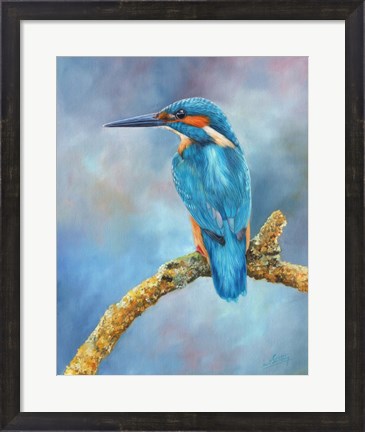 Framed Kingfisher Brilliant Blue Print