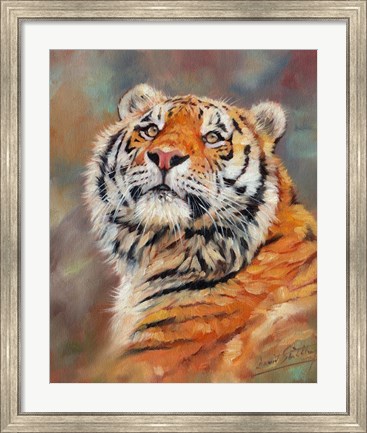 Framed Smiling Tiger Print