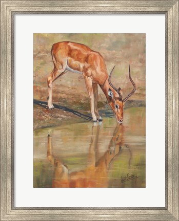 Framed Kudu Reflections Print