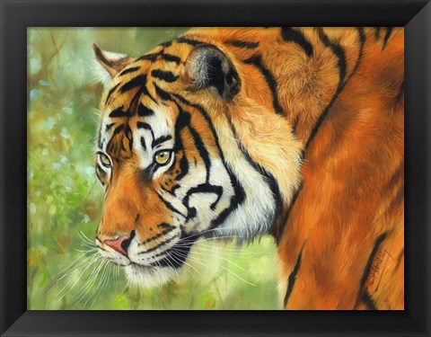 Framed Tiger 20 Print