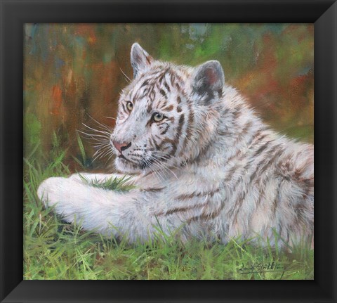 Framed White Tiger Cub Print