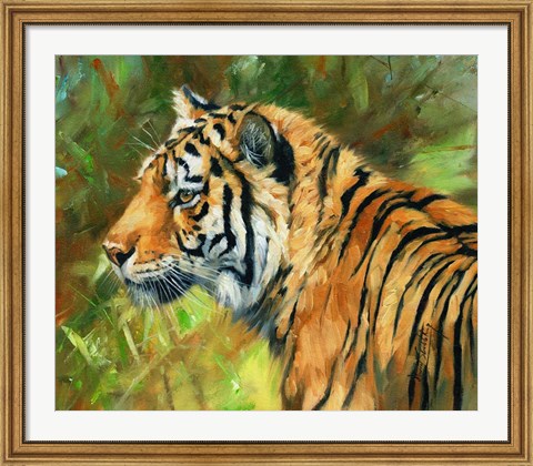 Framed Young Male Retreats Print