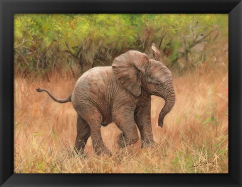 Framed Baby African Elephant Print