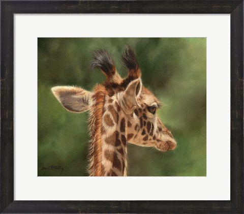 Framed Giraffe From Behind Print
