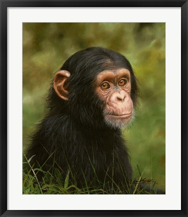 Framed Chimp Print