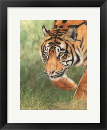 Framed Tiger 8 Print