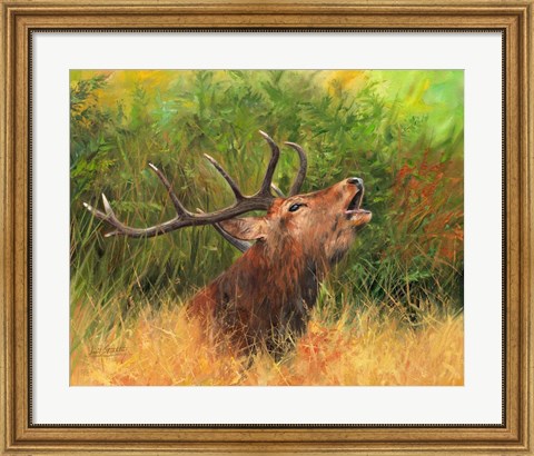 Framed Red Deer In Field Print