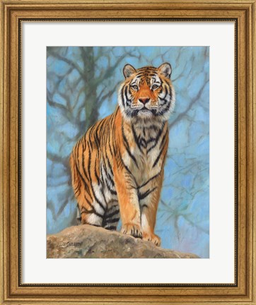 Framed Tiger Dart Print