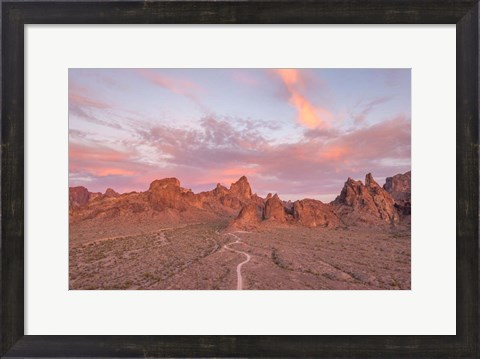 Framed Kofa Sunset Print